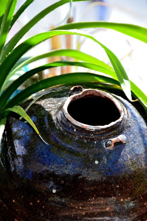 Lvis Boutique Hotel Malé Kültér fotó